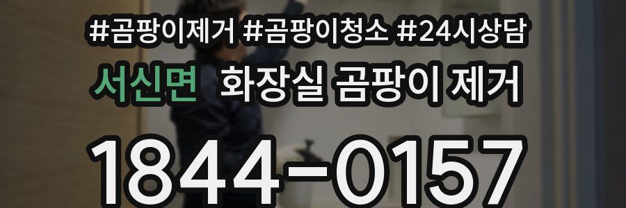 서신면 화장실 곰팡이 제거