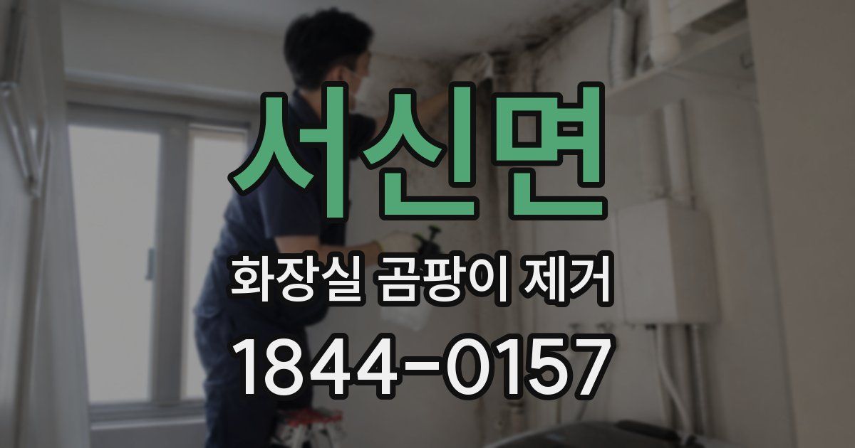 서신면 화장실 곰팡이 제거