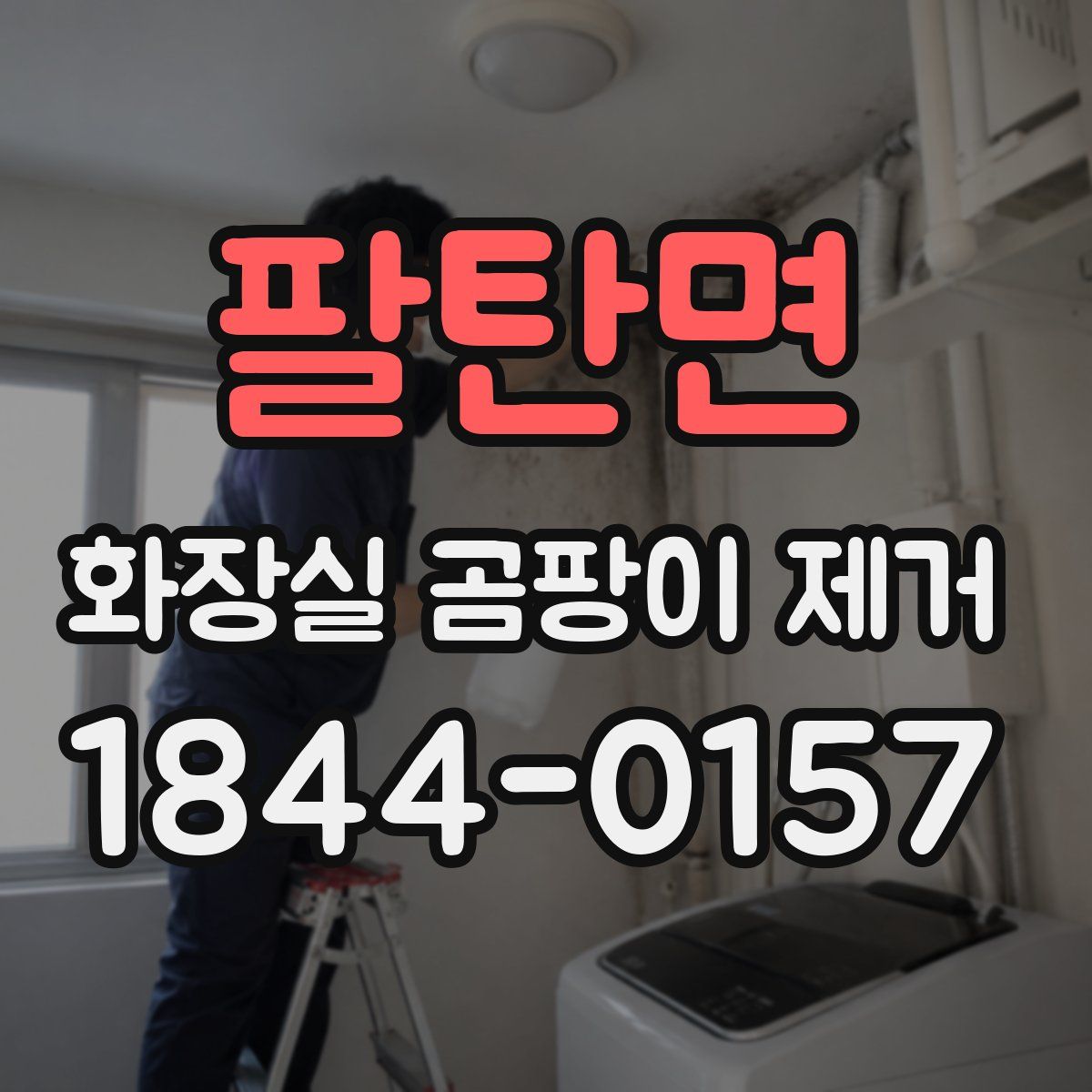 팔탄면 화장실 곰팡이 제거