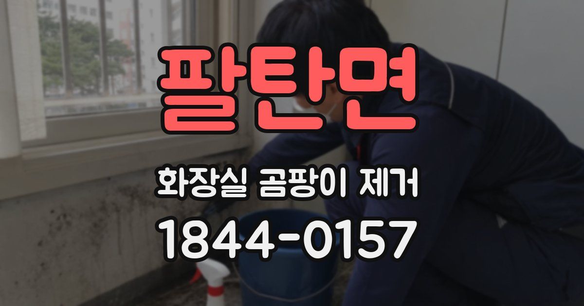 팔탄면 화장실 곰팡이 제거
