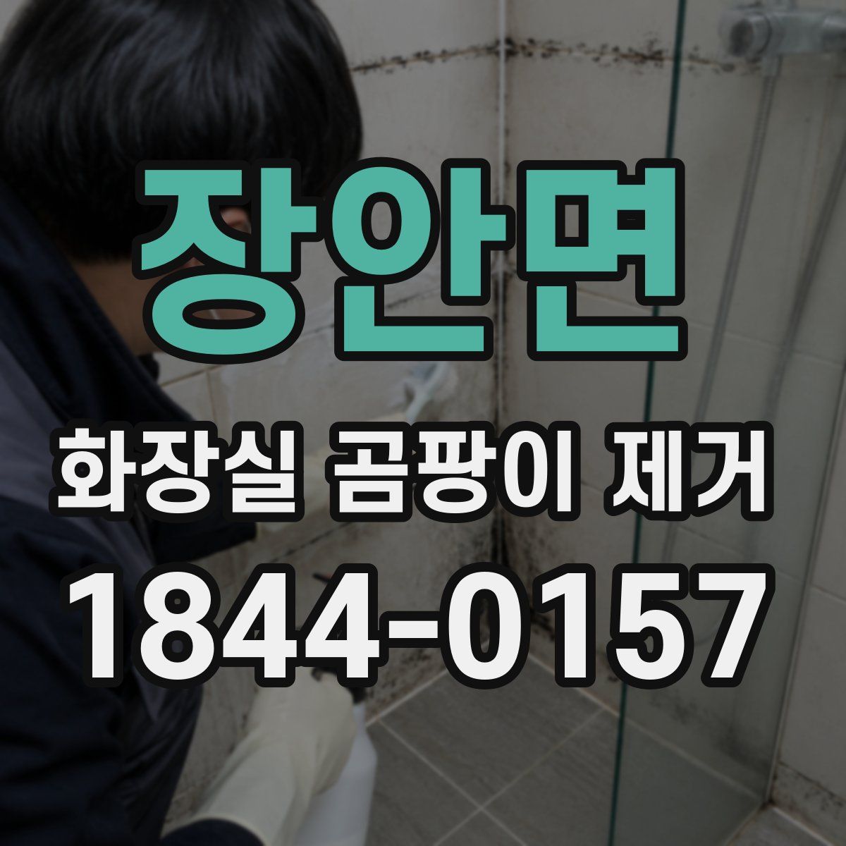 장안면 화장실 곰팡이 제거