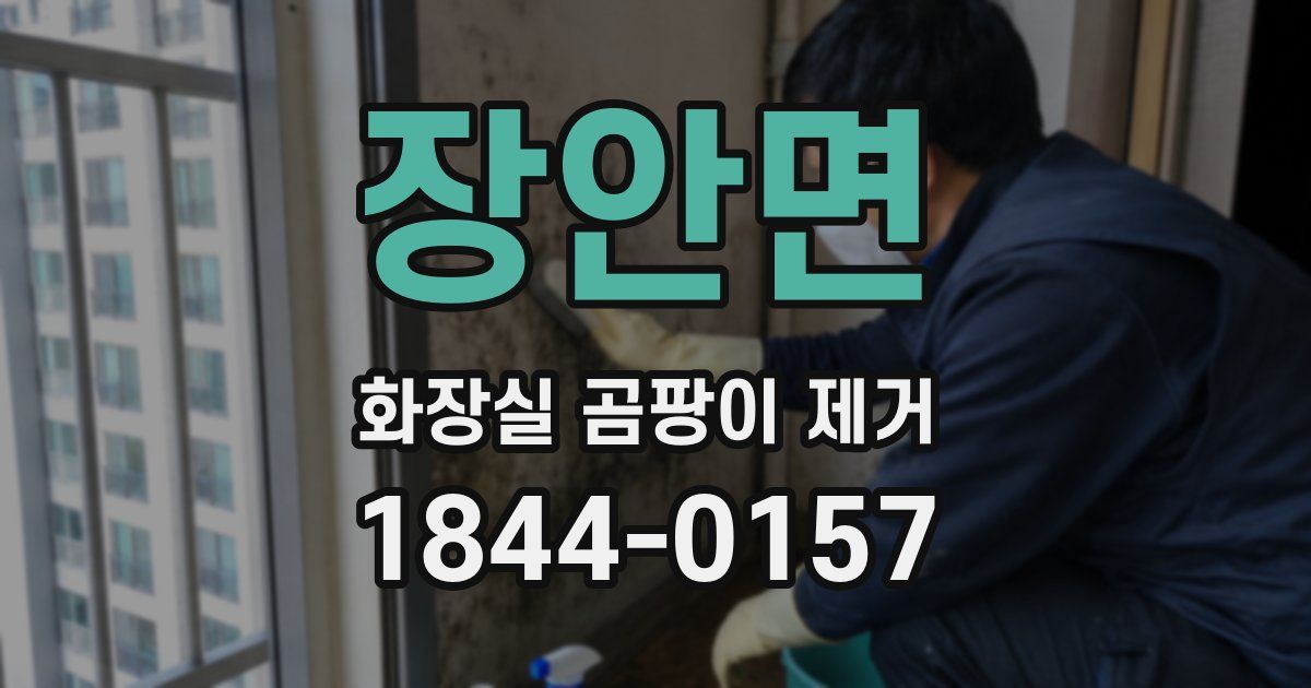 장안면 화장실 곰팡이 제거
