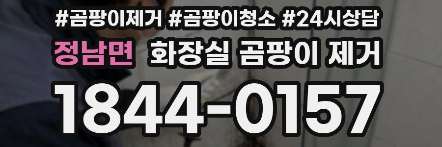 정남면 화장실 곰팡이 제거
