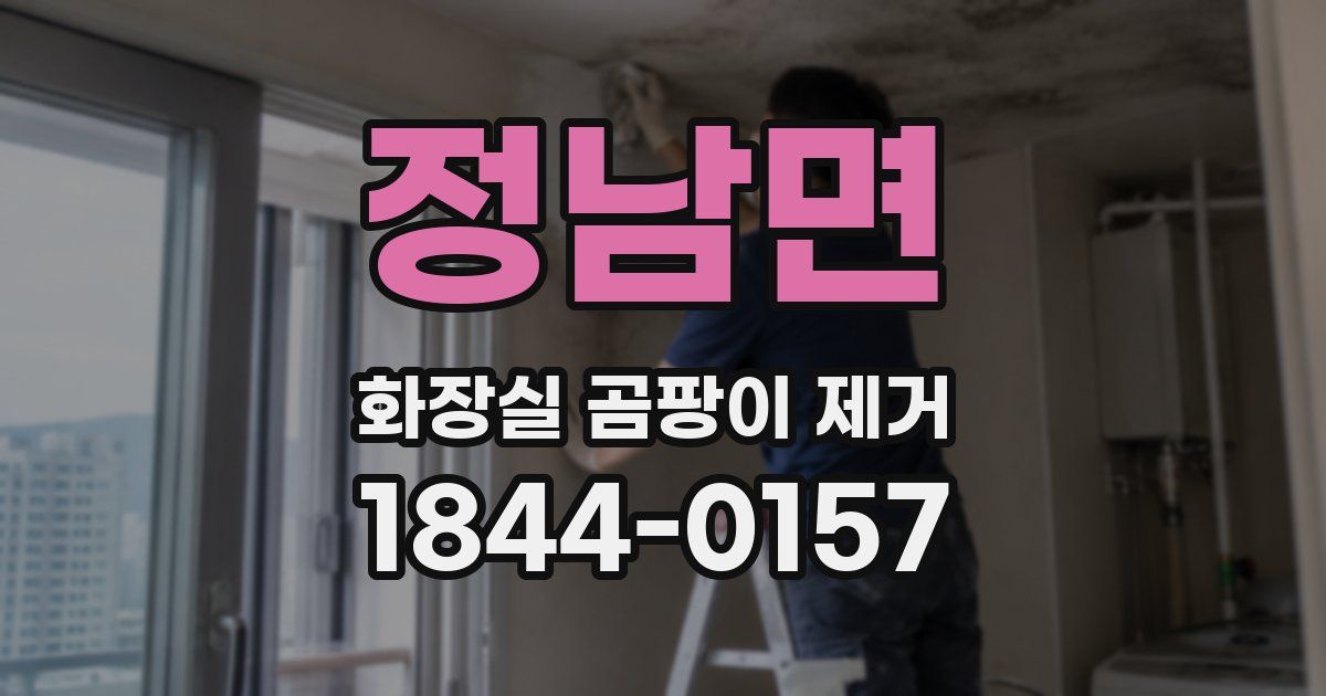 정남면 화장실 곰팡이 제거