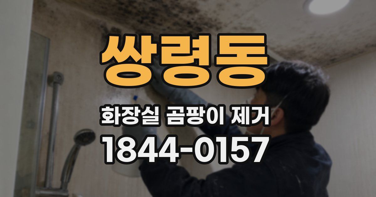 쌍령동 화장실 곰팡이 제거