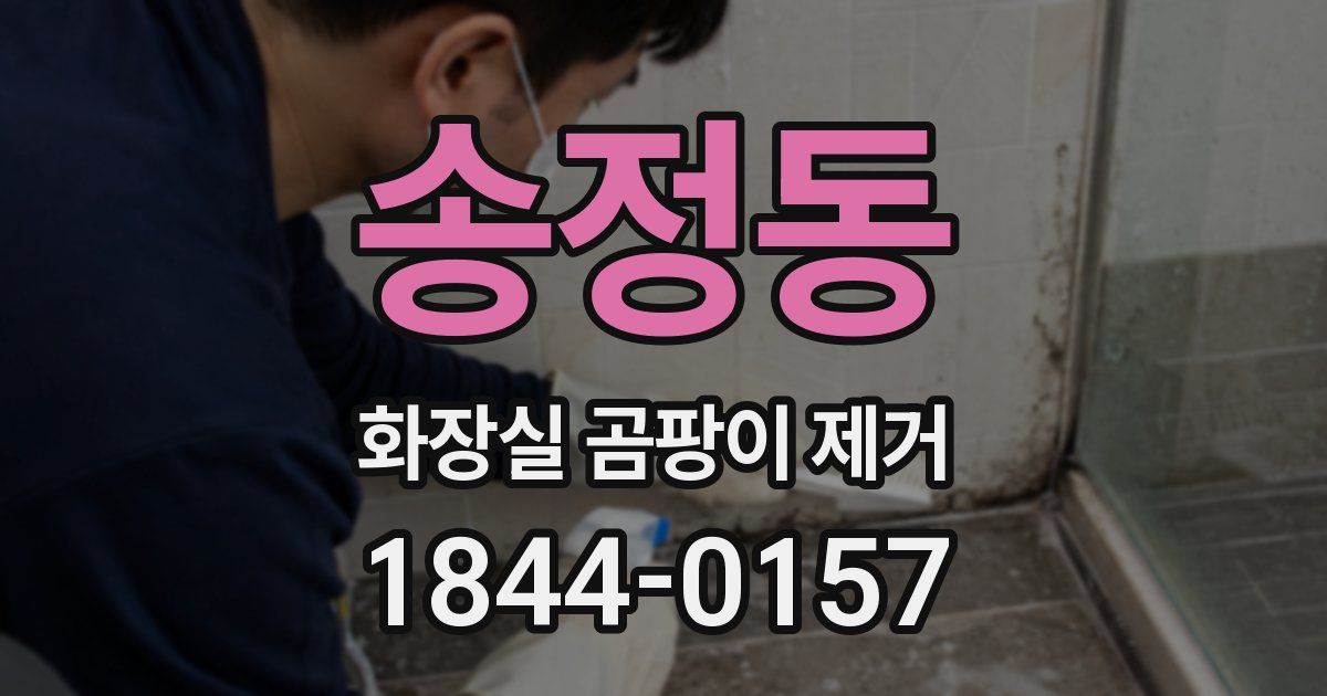 송정동 화장실 곰팡이 제거