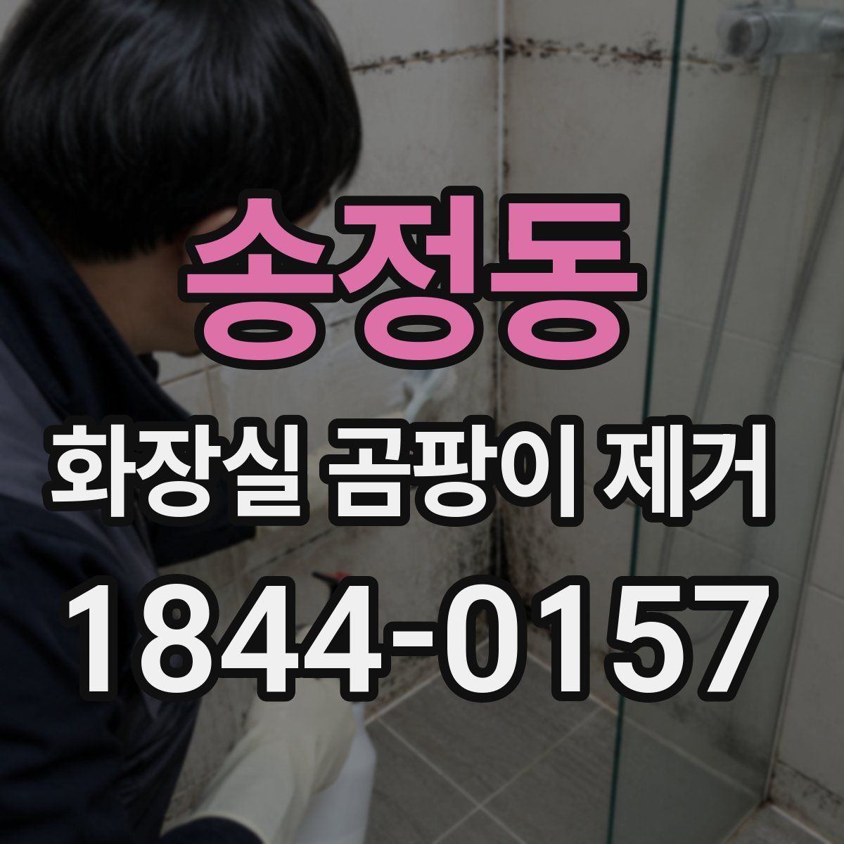 송정동 화장실 곰팡이 제거