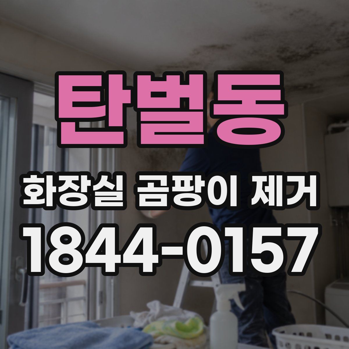 탄벌동 화장실 곰팡이 제거