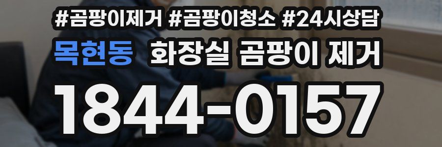 목현동 화장실 곰팡이 제거