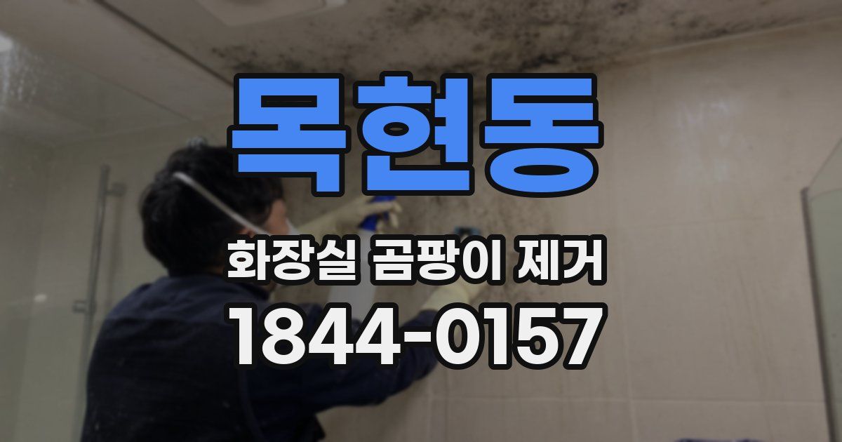 목현동 화장실 곰팡이 제거