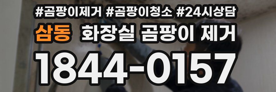 삼동 화장실 곰팡이 제거