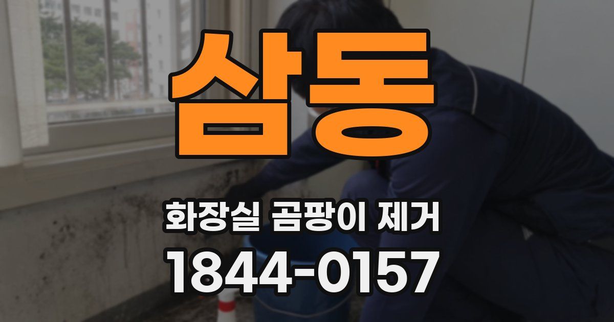 삼동 화장실 곰팡이 제거