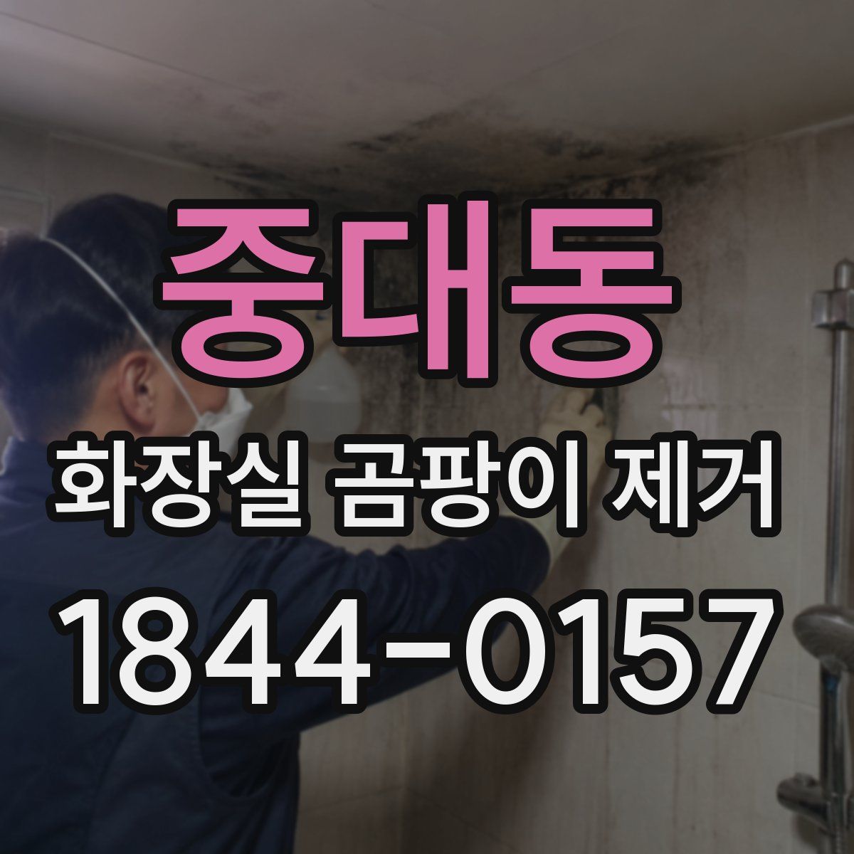 중대동 화장실 곰팡이 제거