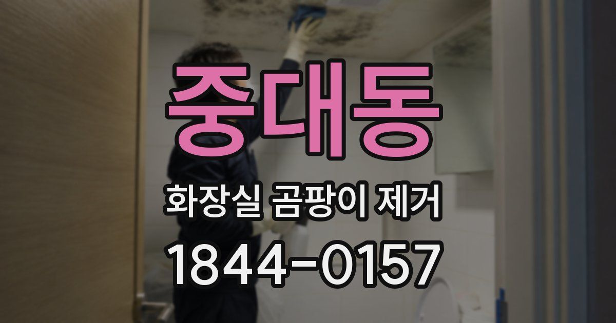 중대동 화장실 곰팡이 제거