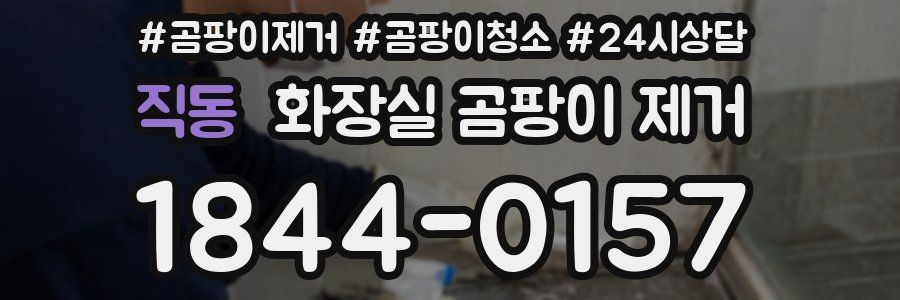 직동 화장실 곰팡이 제거