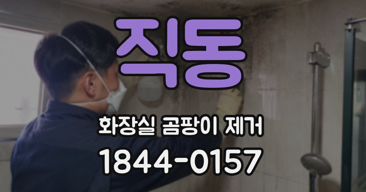 직동 화장실 곰팡이 제거