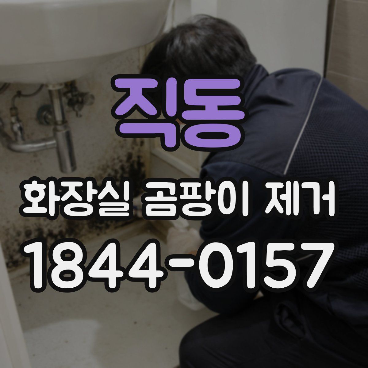 직동 화장실 곰팡이 제거