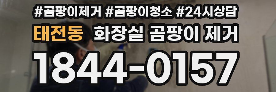 태전동 화장실 곰팡이 제거