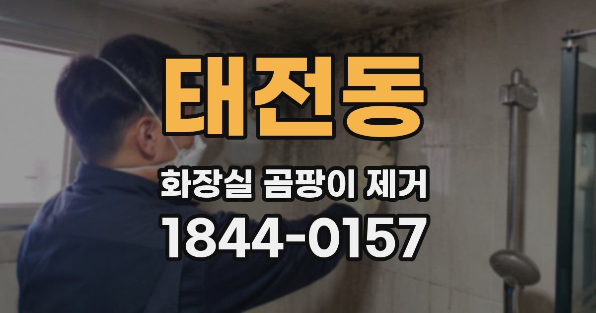 태전동 화장실 곰팡이 제거