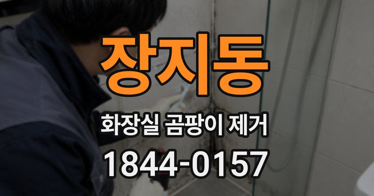 장지동 화장실 곰팡이 제거