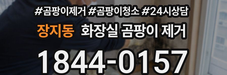 장지동 화장실 곰팡이 제거