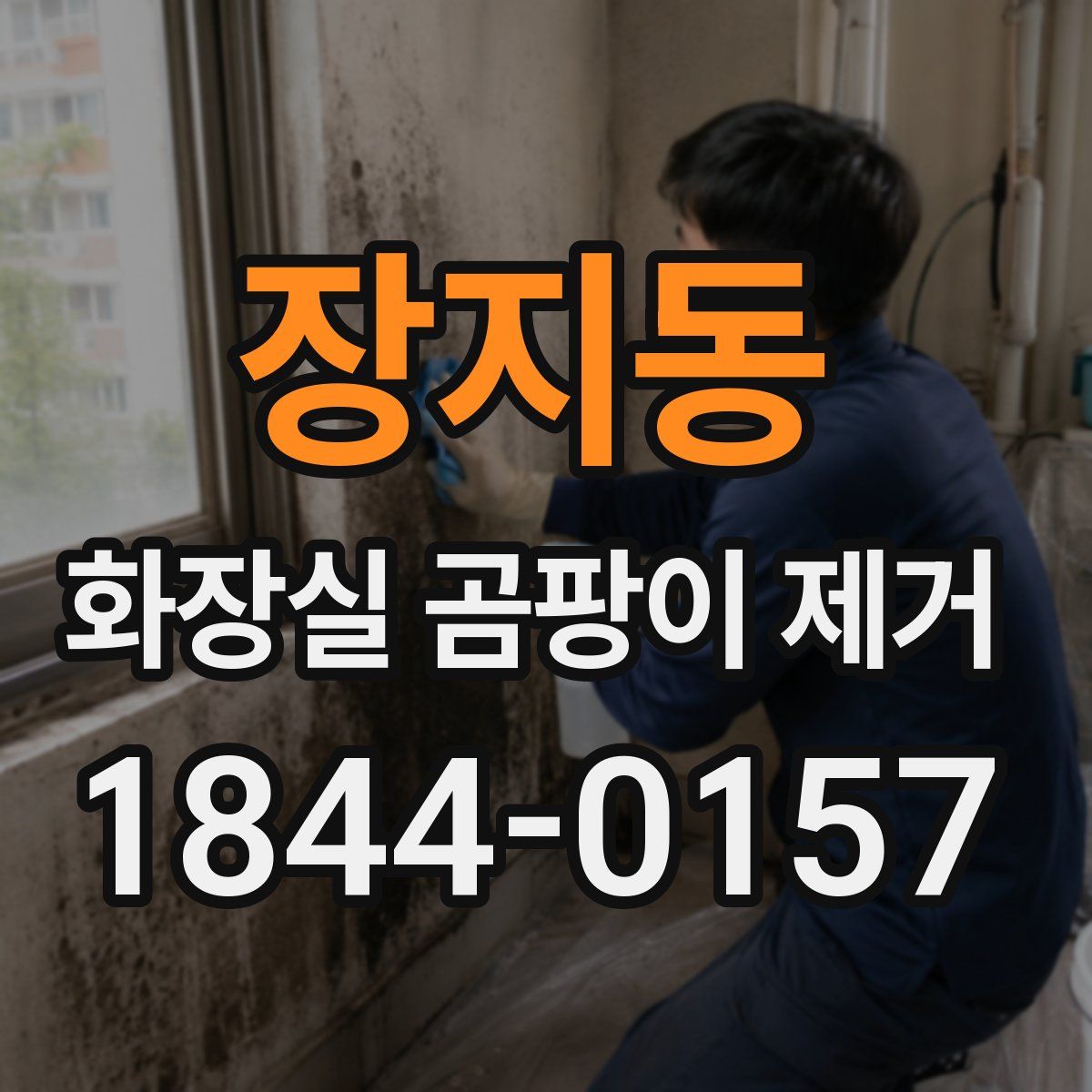 장지동 화장실 곰팡이 제거