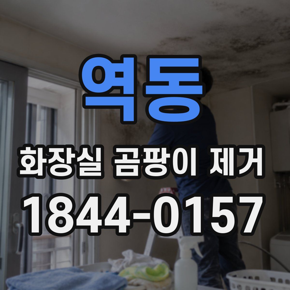 역동 화장실 곰팡이 제거