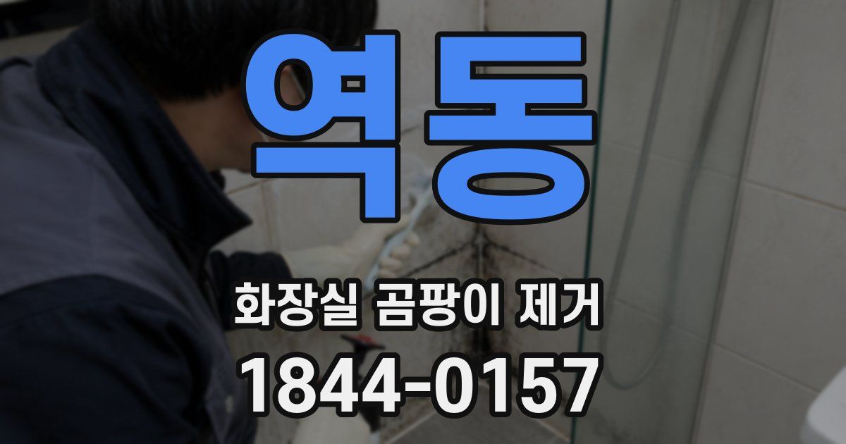 역동 화장실 곰팡이 제거