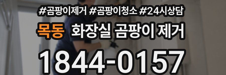 목동 화장실 곰팡이 제거