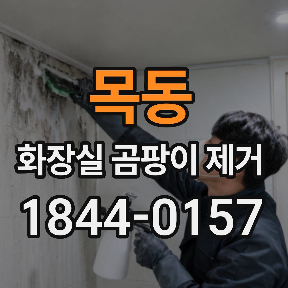 목동 화장실 곰팡이 제거
