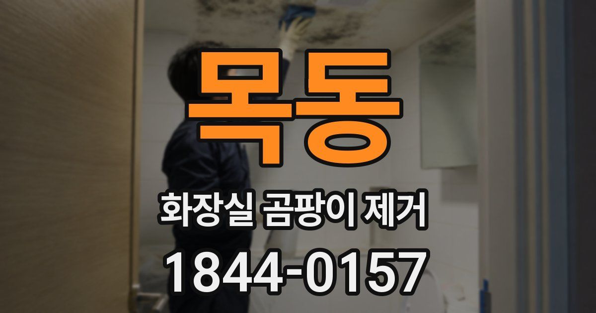 목동 화장실 곰팡이 제거