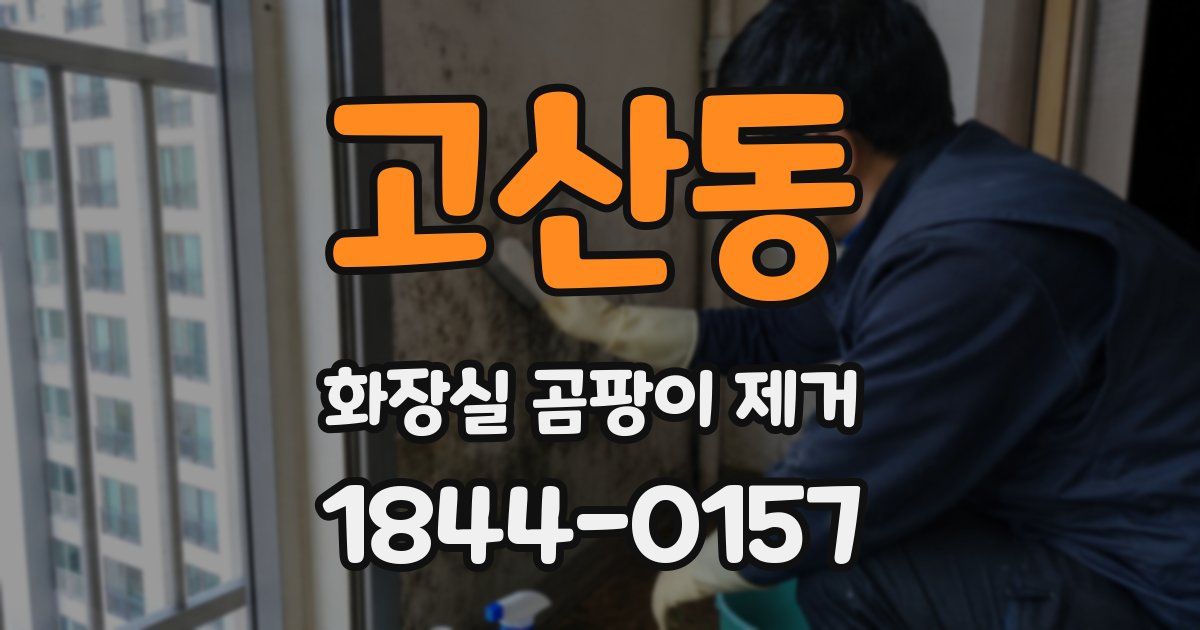 고산동 화장실 곰팡이 제거