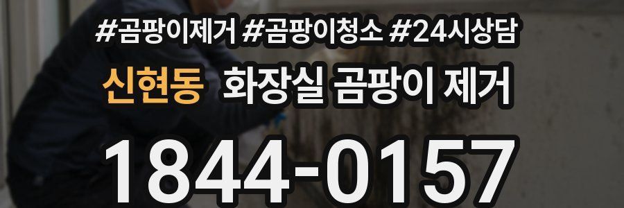 신현동 화장실 곰팡이 제거
