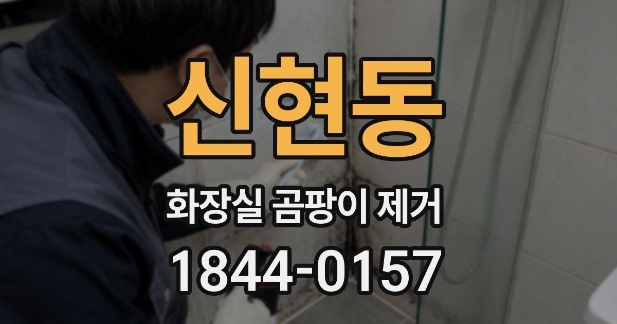 신현동 화장실 곰팡이 제거
