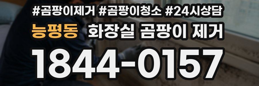 능평동 화장실 곰팡이 제거