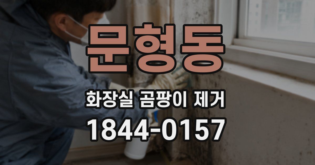 문형동 화장실 곰팡이 제거