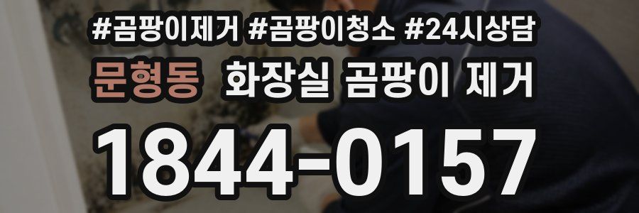 문형동 화장실 곰팡이 제거