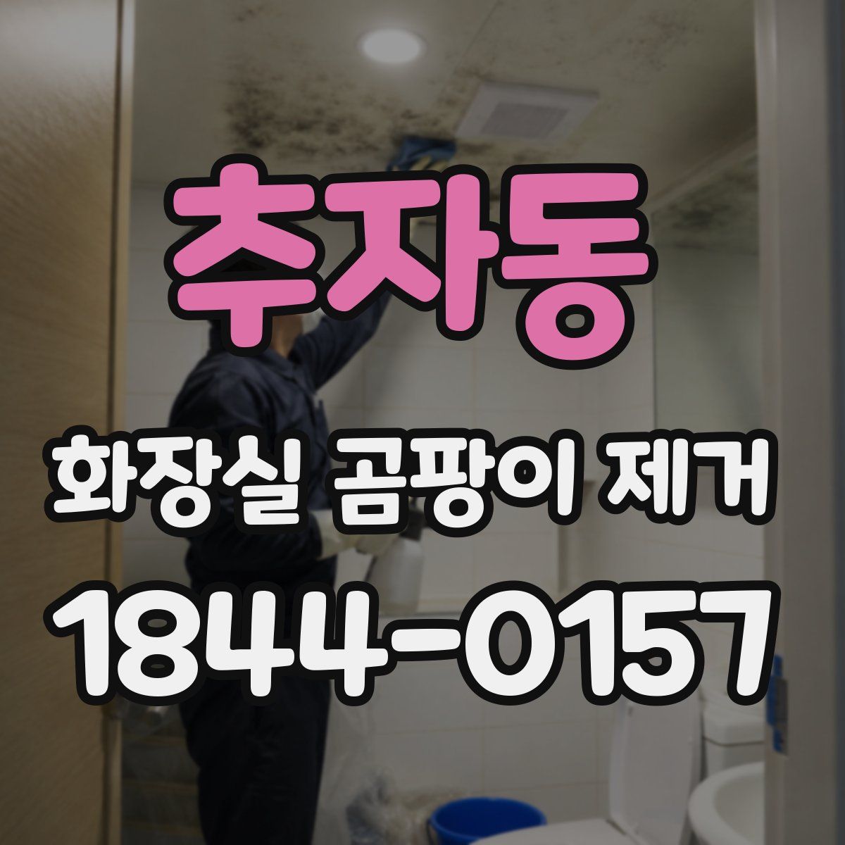 추자동 화장실 곰팡이 제거