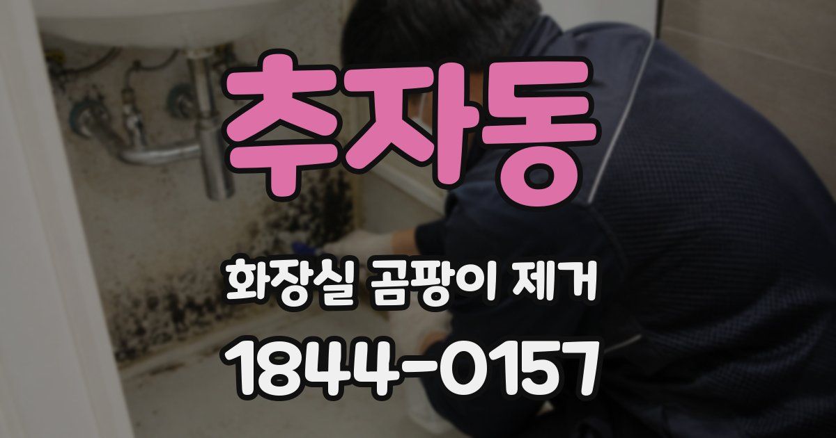 추자동 화장실 곰팡이 제거