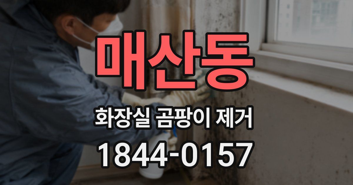 매산동 화장실 곰팡이 제거