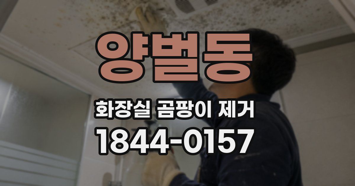 양벌동 화장실 곰팡이 제거