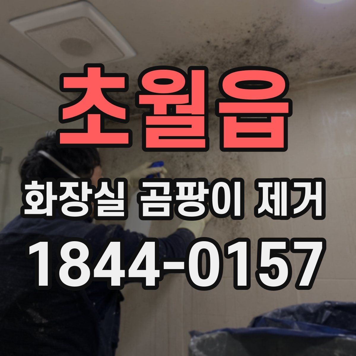초월읍 화장실 곰팡이 제거 욕실 마감재 손상 없이 하는 방법