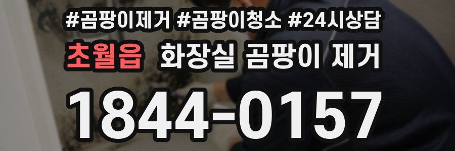 초월읍 화장실 곰팡이 제거