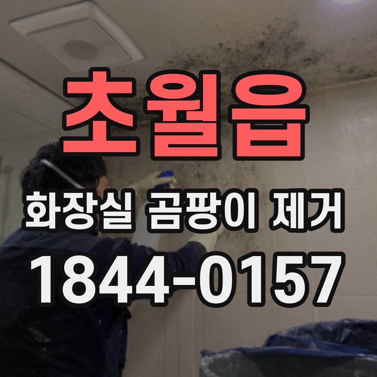 초월읍 화장실 곰팡이 제거