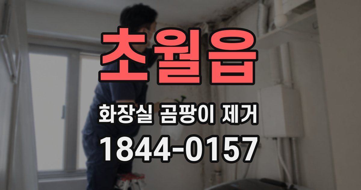 초월읍 화장실 곰팡이 제거