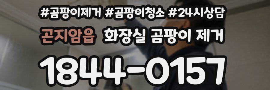 곤지암읍 화장실 곰팡이 제거