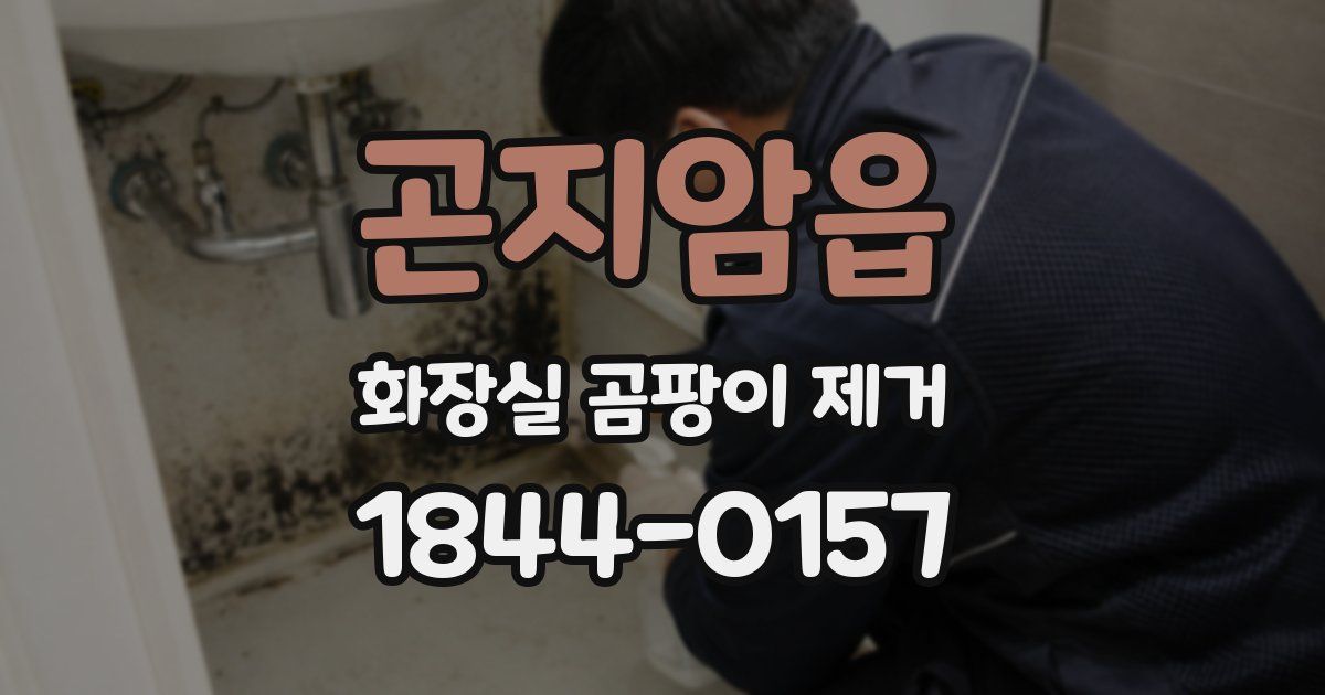 곤지암읍 화장실 곰팡이 제거