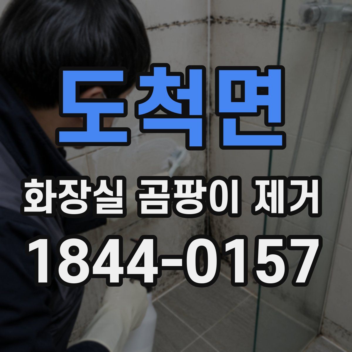 도척면 화장실 곰팡이 제거