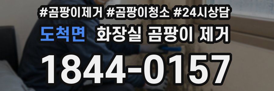 도척면 화장실 곰팡이 제거