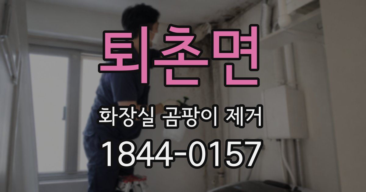 퇴촌면 화장실 곰팡이 제거